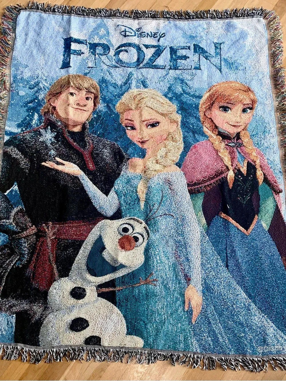 Northwest Frozen Character Woven Throw Blanket - Blue, Pink, White